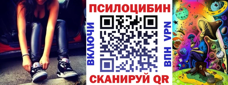 OMG ссылки  где купить наркотик  Шебекино  Псилоцибиновые грибы Psilocybe 
