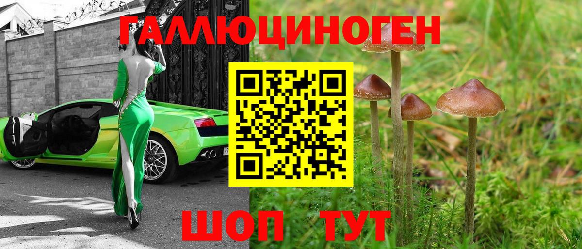 Галлюциногенные грибы Cubensis  Вход с VPN  Шебекино  Галлюциногенные грибы ЛСД 